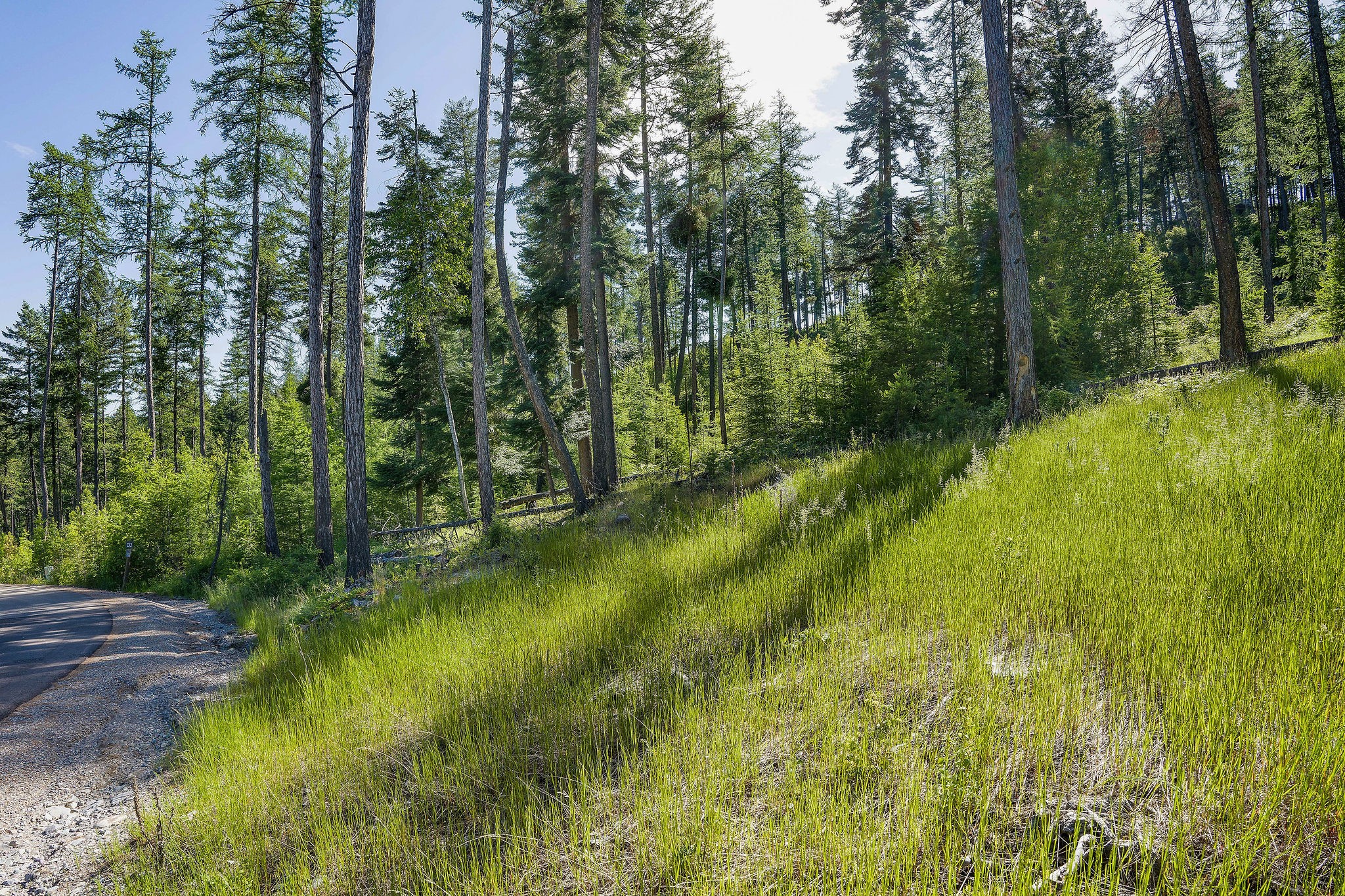 234 Trading Post Trail