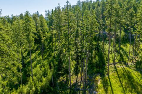 Tiny photo for 234 Trading Post Trail, Bigfork, MT 59911 (MLS # 30070234)