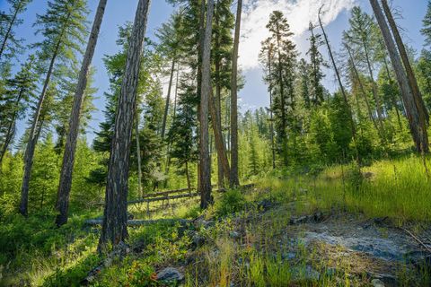 Photo of 234 Trading Post Trail, Bigfork, MT 59911 (MLS # 30070234)