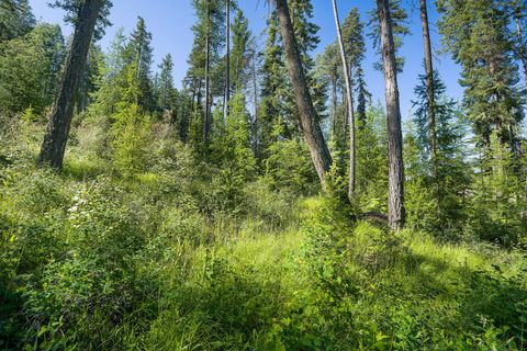 Tiny photo for 234 Trading Post Trail, Bigfork, MT 59911 (MLS # 30070234)
