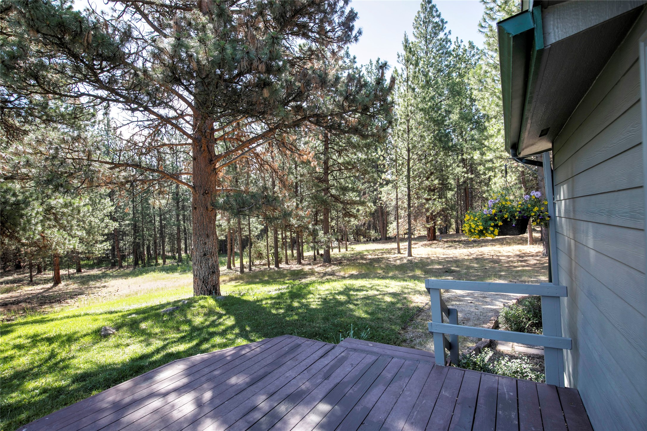 459 Hayes Creek Road