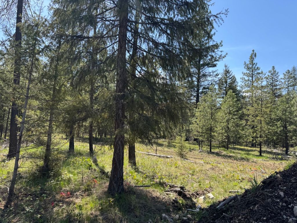 Photo of NHN Franko Lane, Trout Creek, MT 59874 (MLS # 30064083)