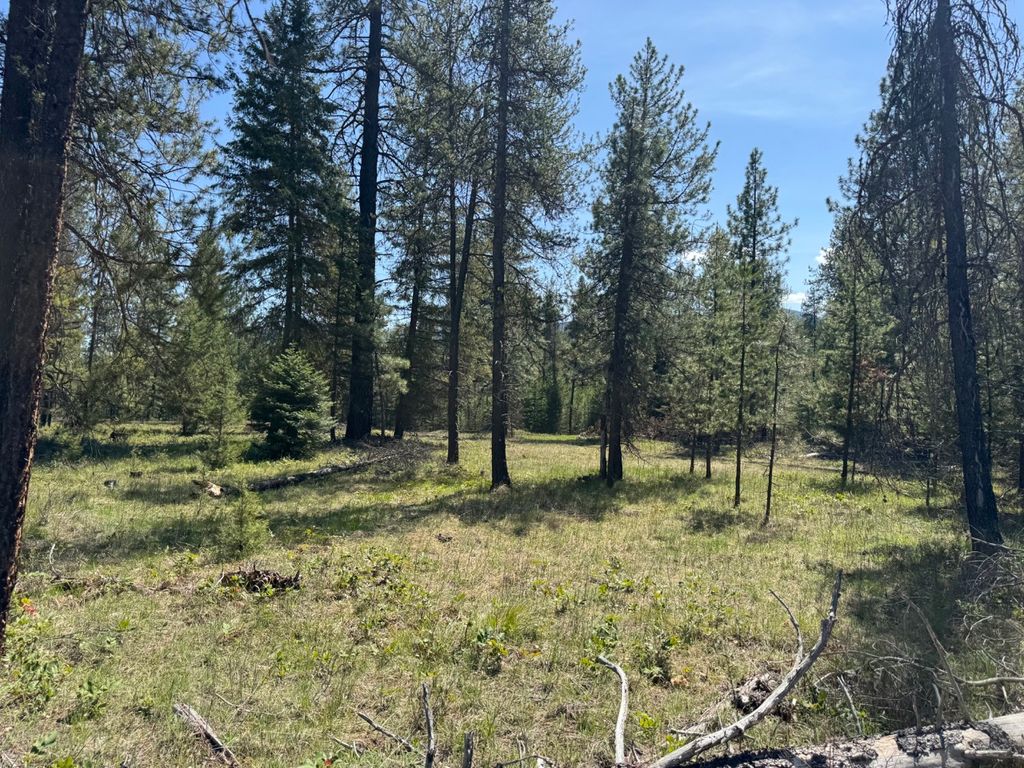 Photo of NHN Franko Lane, Trout Creek, MT 59874 (MLS # 30064083)