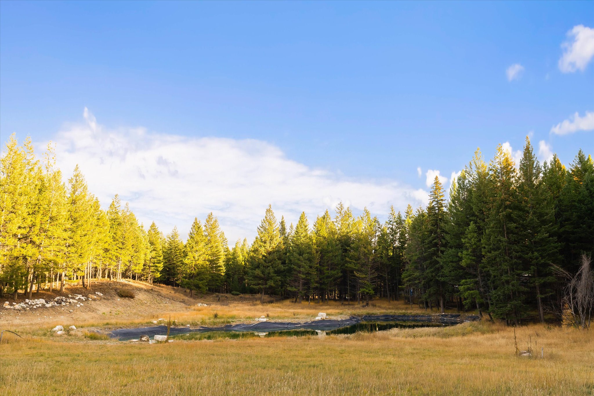 Rexford, Montana 59930, United States, 3 Bedrooms Bedrooms, ,2 BathroomsBathrooms,Residential,Active,240704