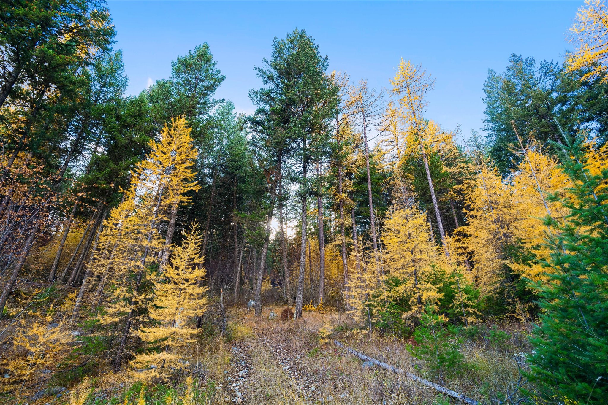 Rexford, Montana 59930, United States, 3 Bedrooms Bedrooms, ,2 BathroomsBathrooms,Residential,Active,240704