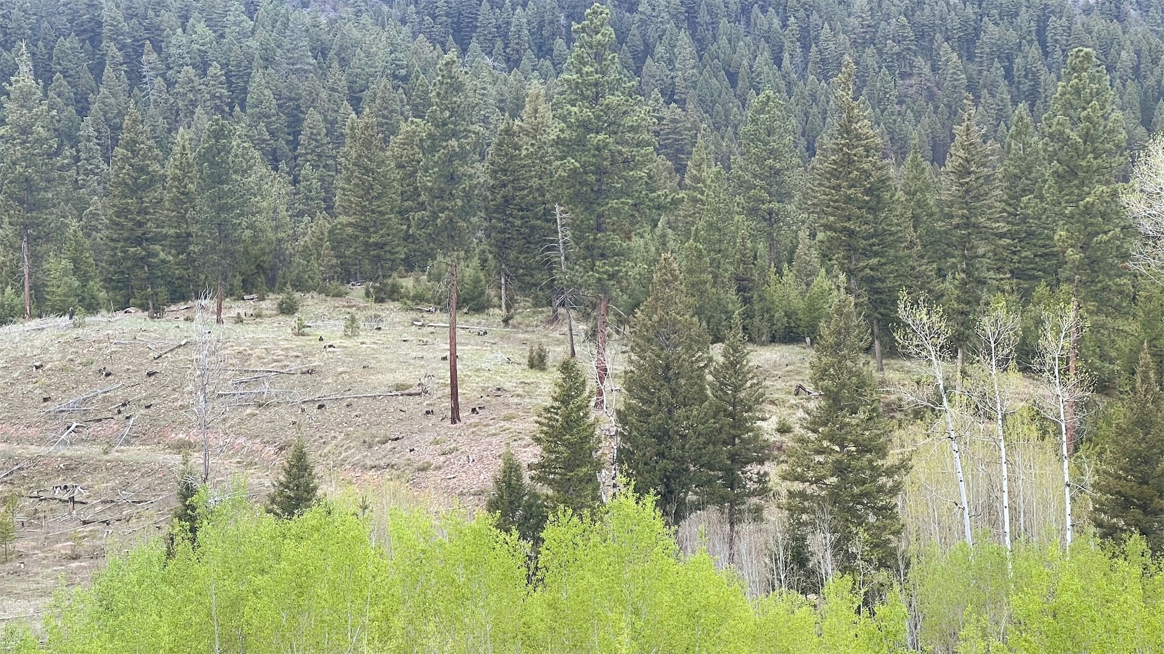 Drummond, Montana 59832, United States, ,Land,Pending,62434