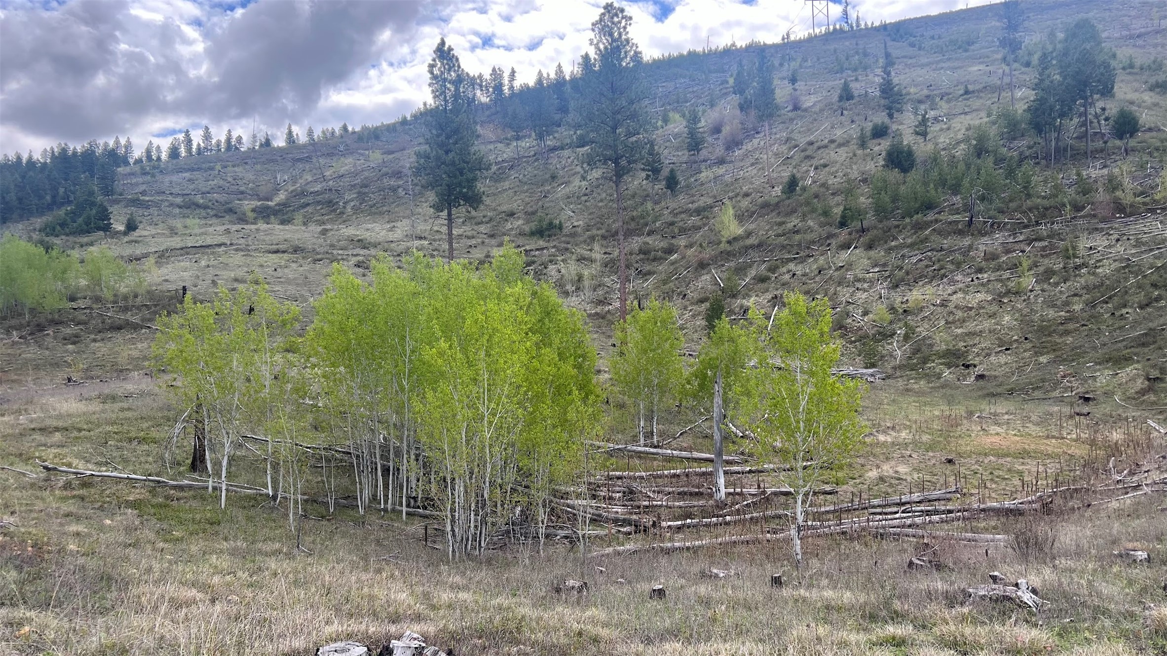 Drummond, Montana 59832, United States, ,Land,Pending,62434