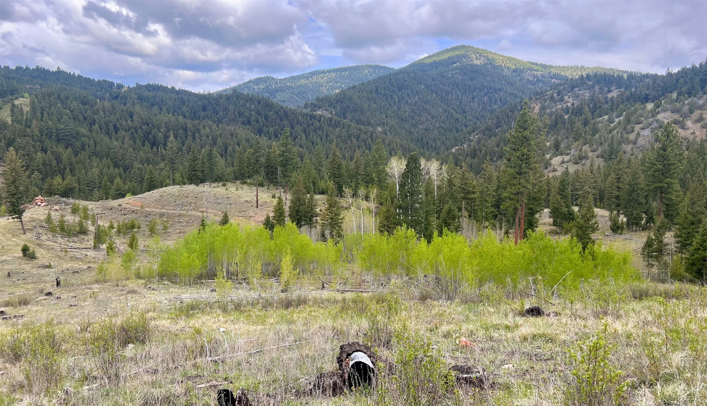 Drummond, Montana 59832, United States, ,Land,Pending,62434