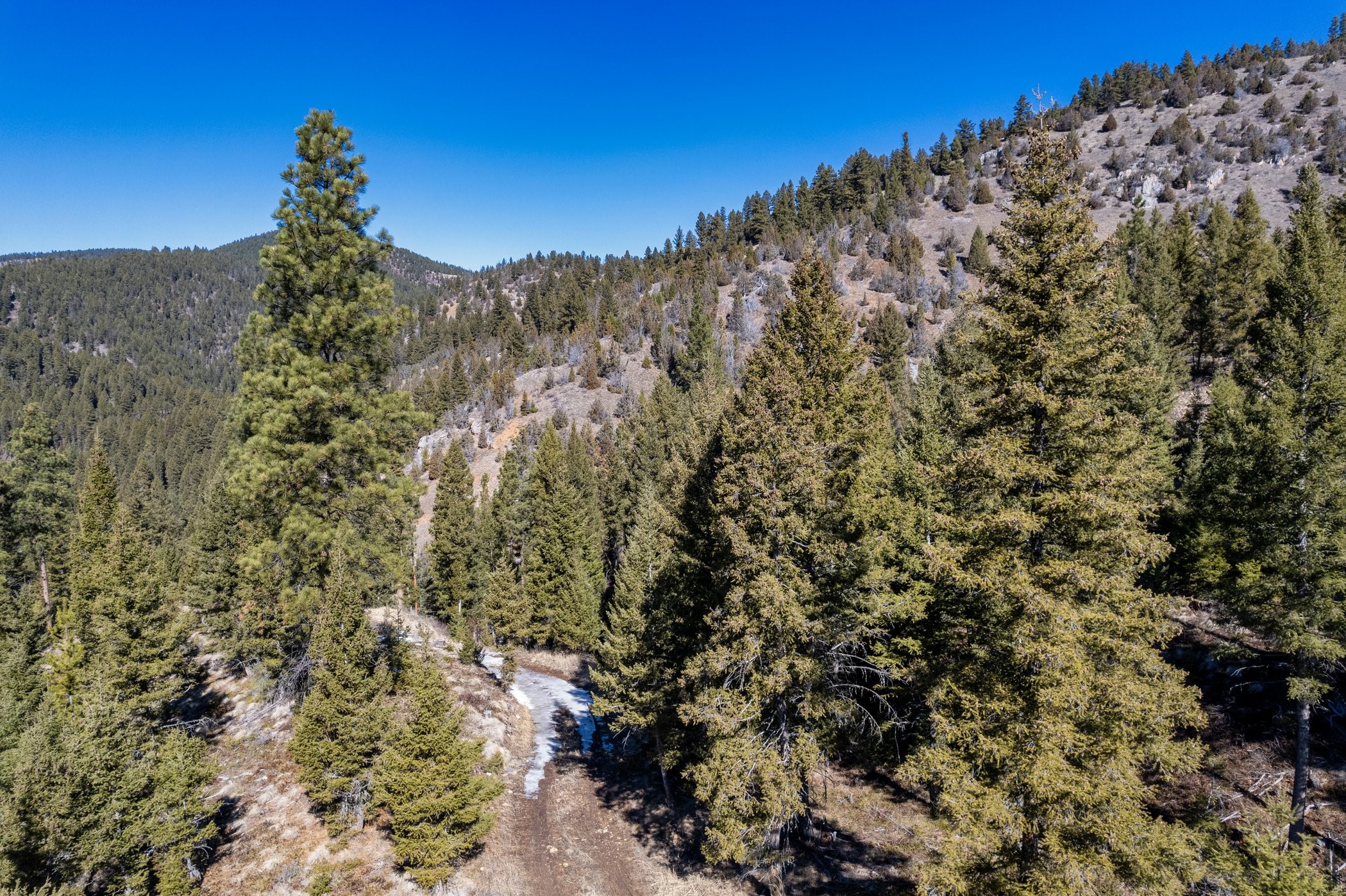 Drummond, Montana 59832, United States, ,Land,Pending,62434