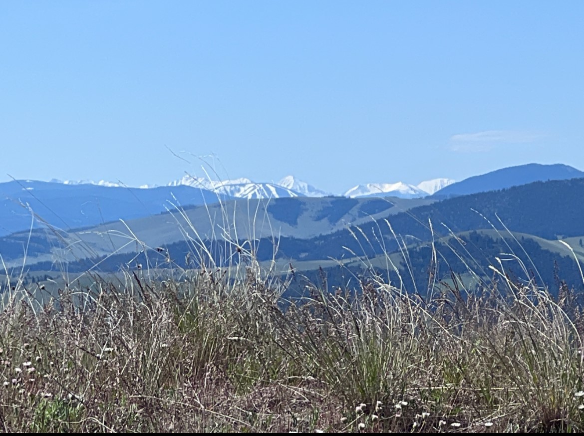 Drummond, Montana 59832, United States, ,Land,Pending,62434