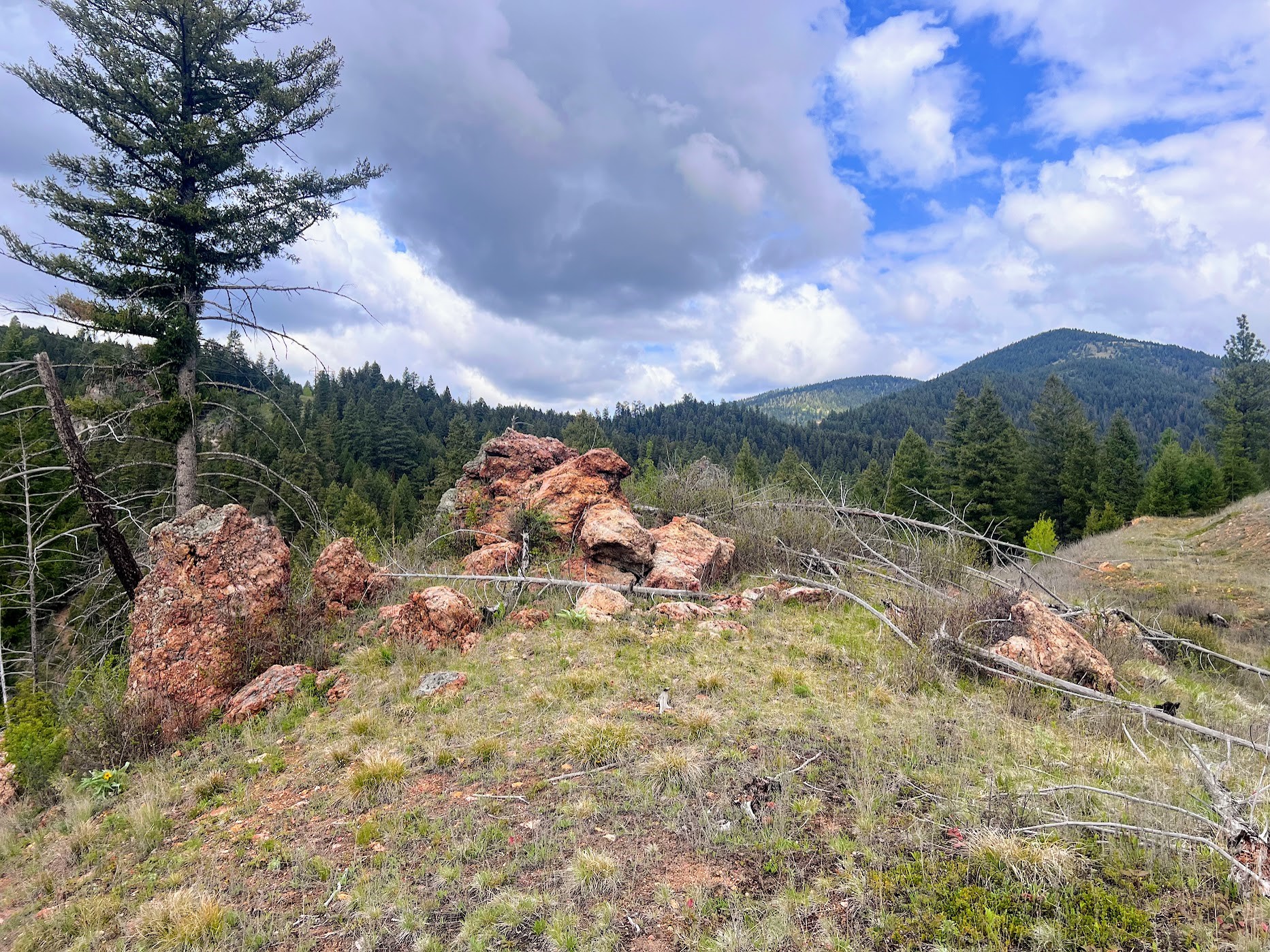 Drummond, Montana 59832, United States, ,Land,Pending,62434