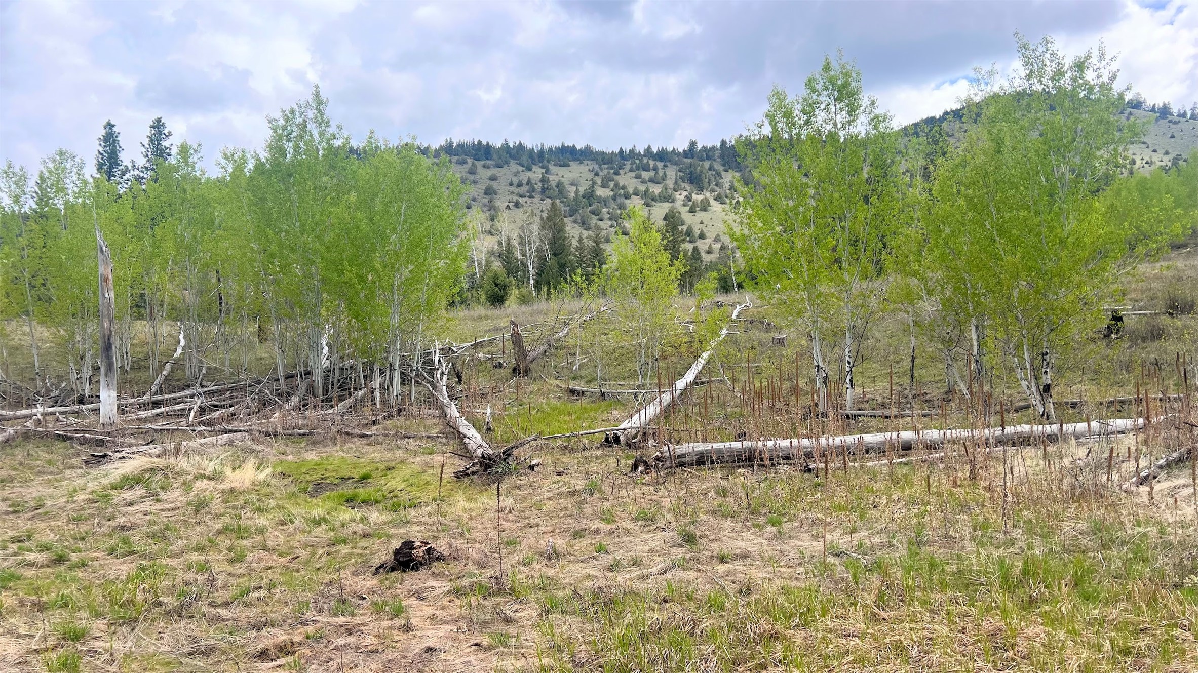 Drummond, Montana 59832, United States, ,Land,Pending,62434