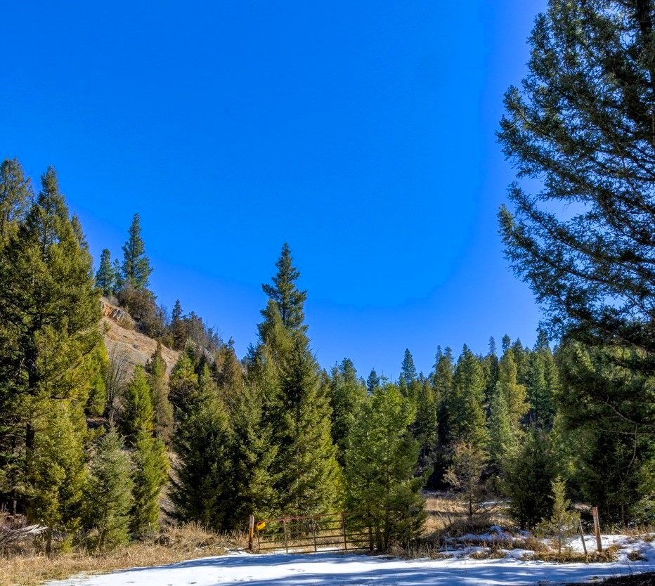 Drummond, Montana 59832, United States, ,Land,Pending,62434