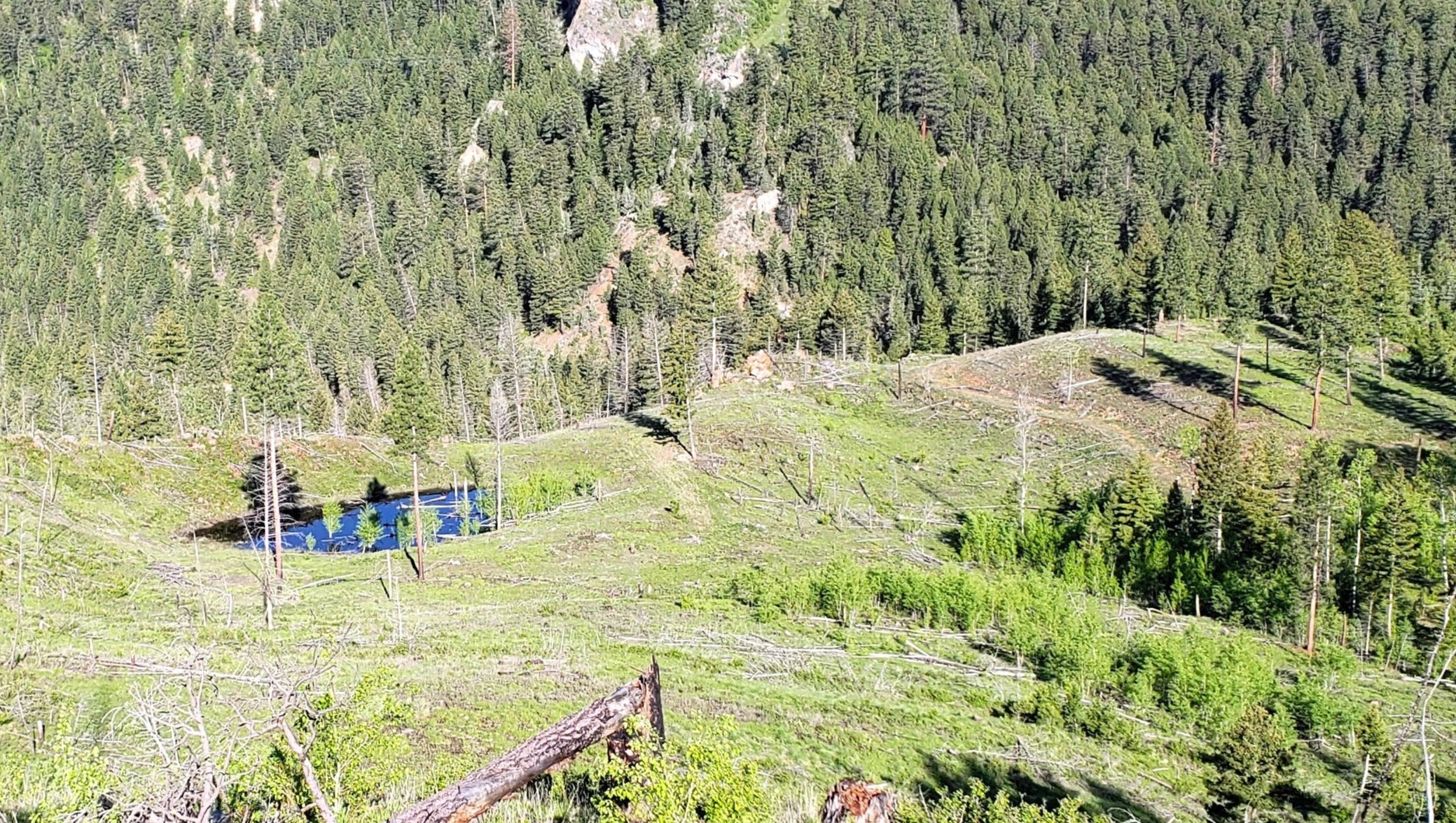 Drummond, Montana 59832, United States, ,Land,Pending,62434