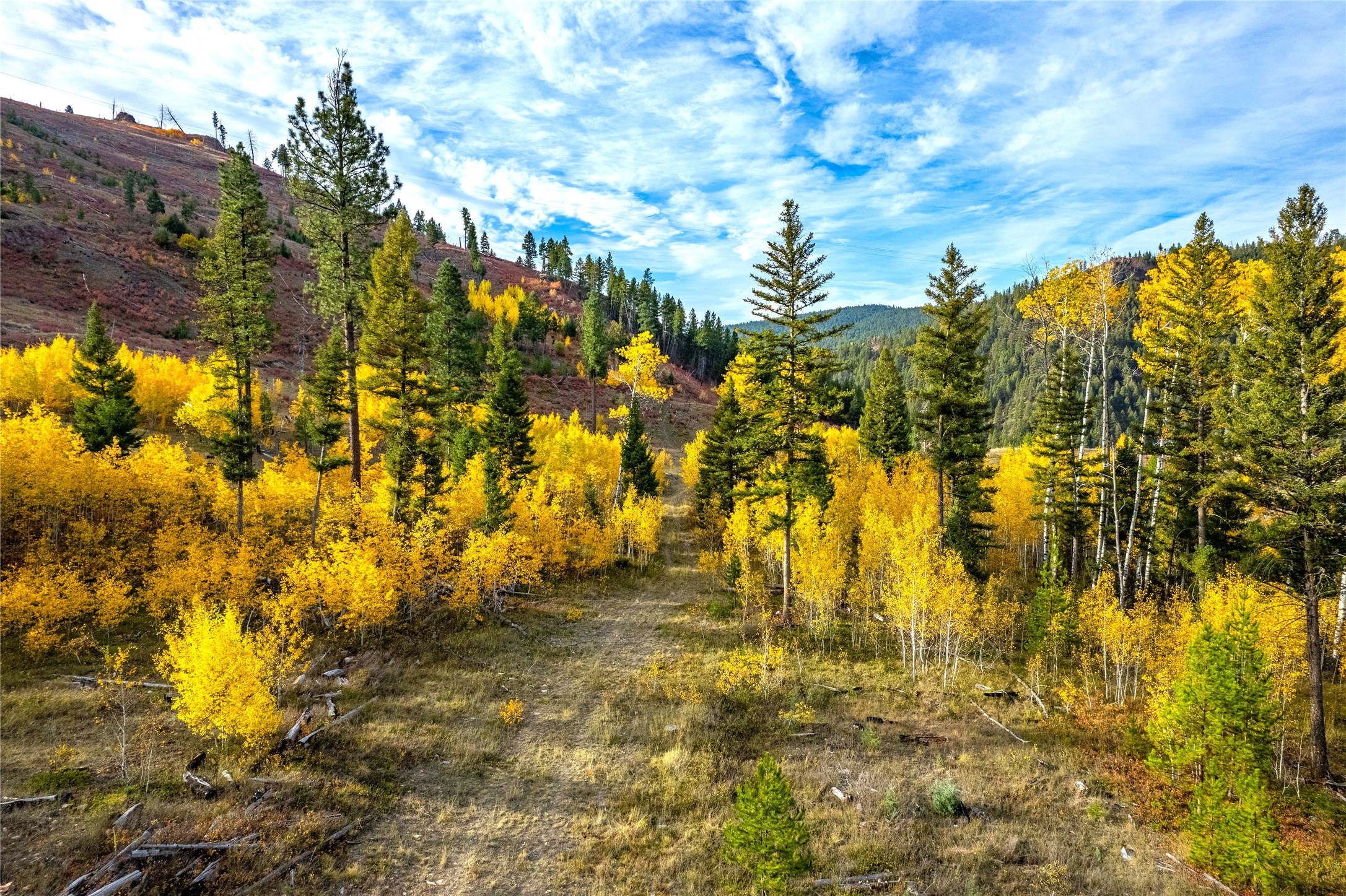 Drummond, Montana 59832, United States, ,Land,Pending,62434