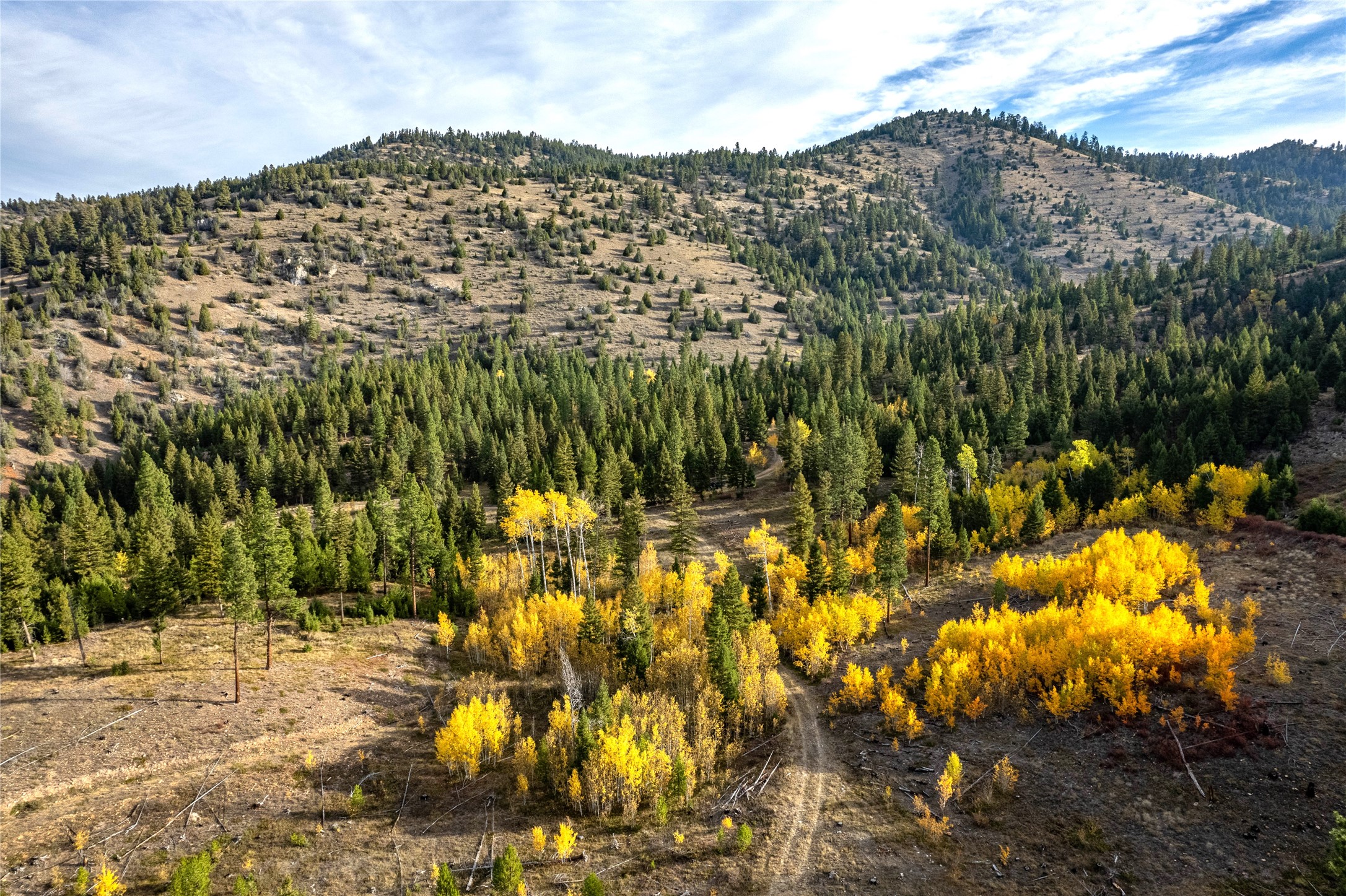 Drummond, Montana 59832, United States, ,Land,Pending,62434