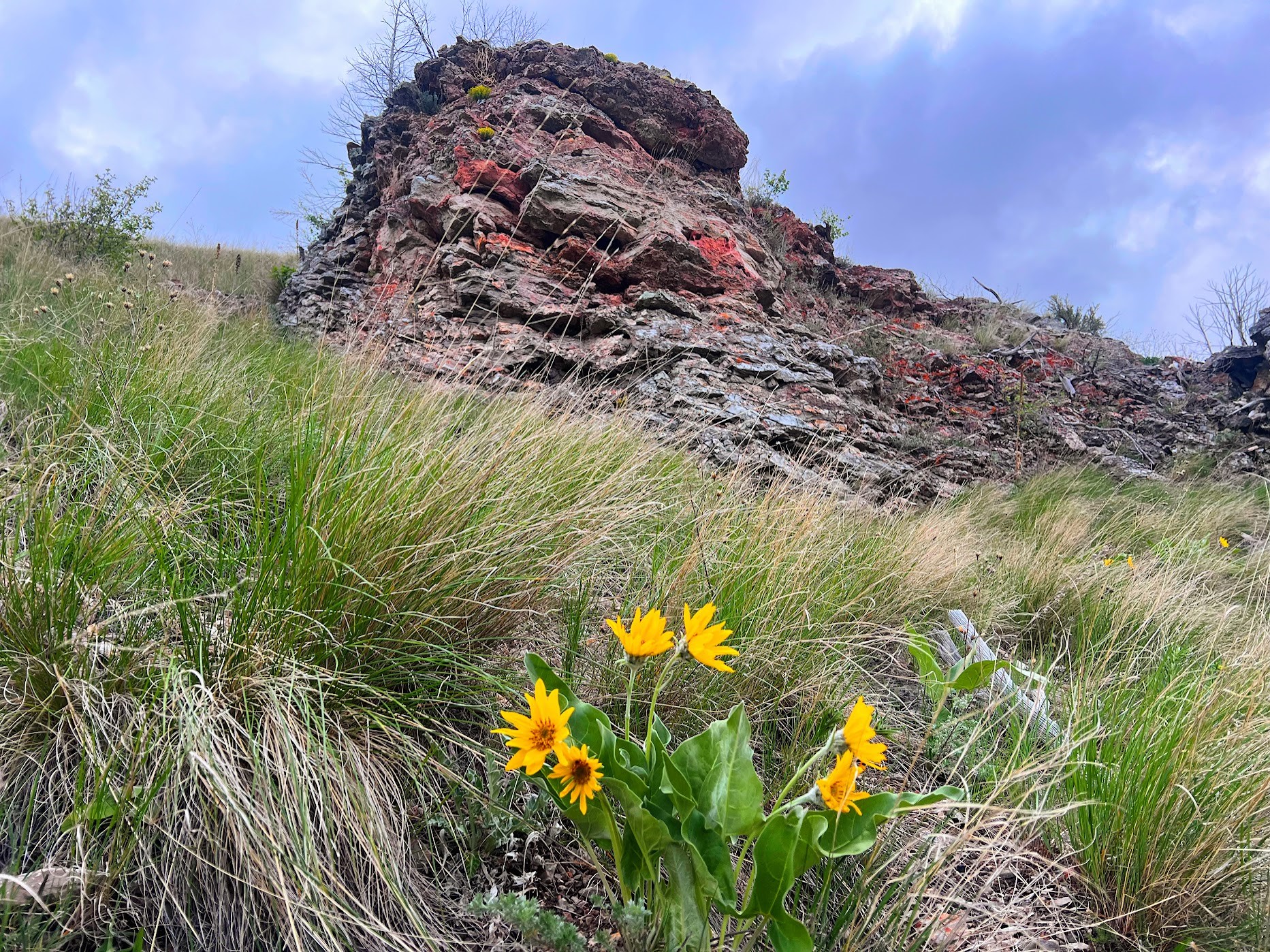 Drummond, Montana 59832, United States, ,Land,Pending,62434