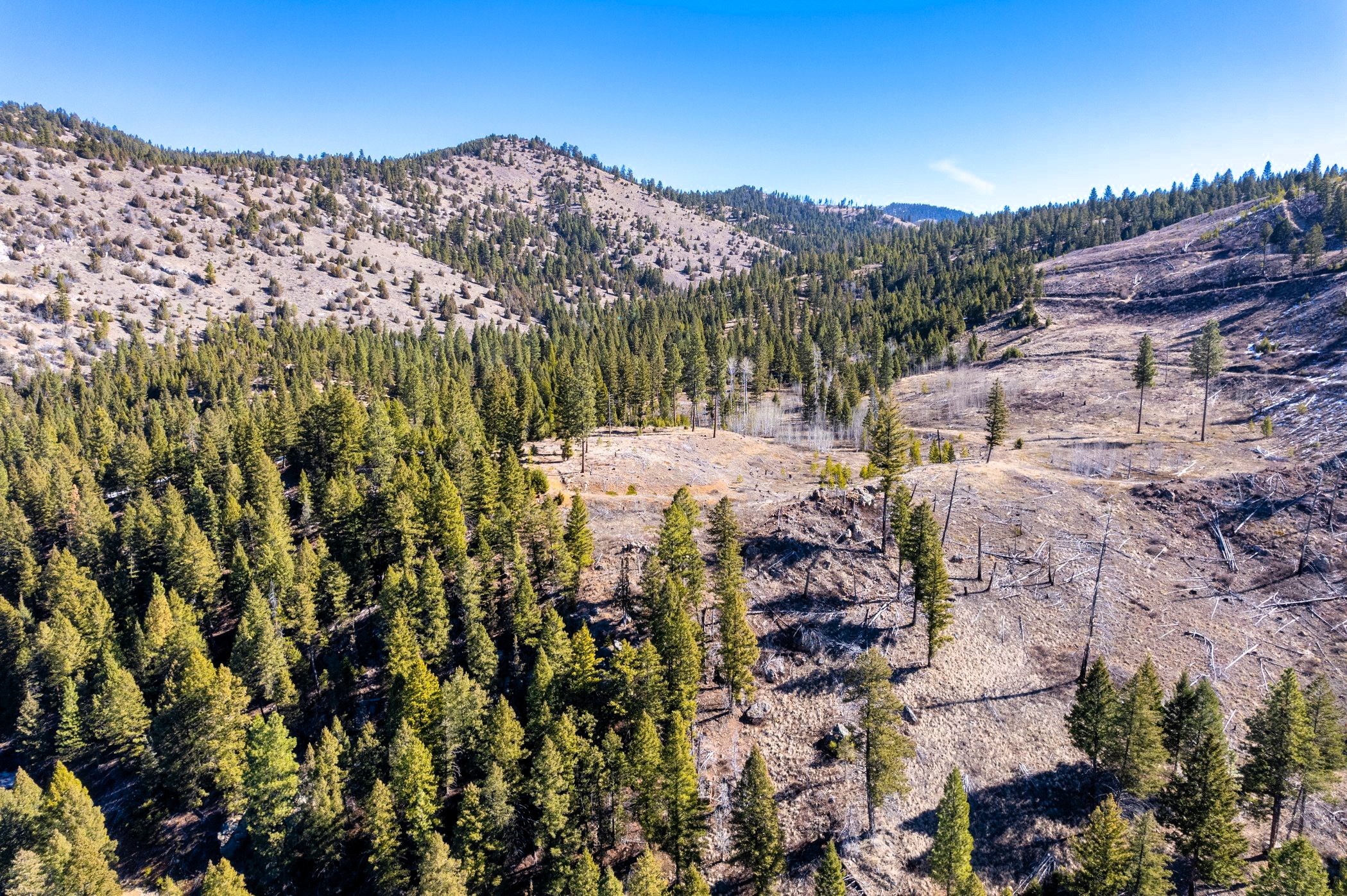 Drummond, Montana 59832, United States, ,Land,Pending,62434