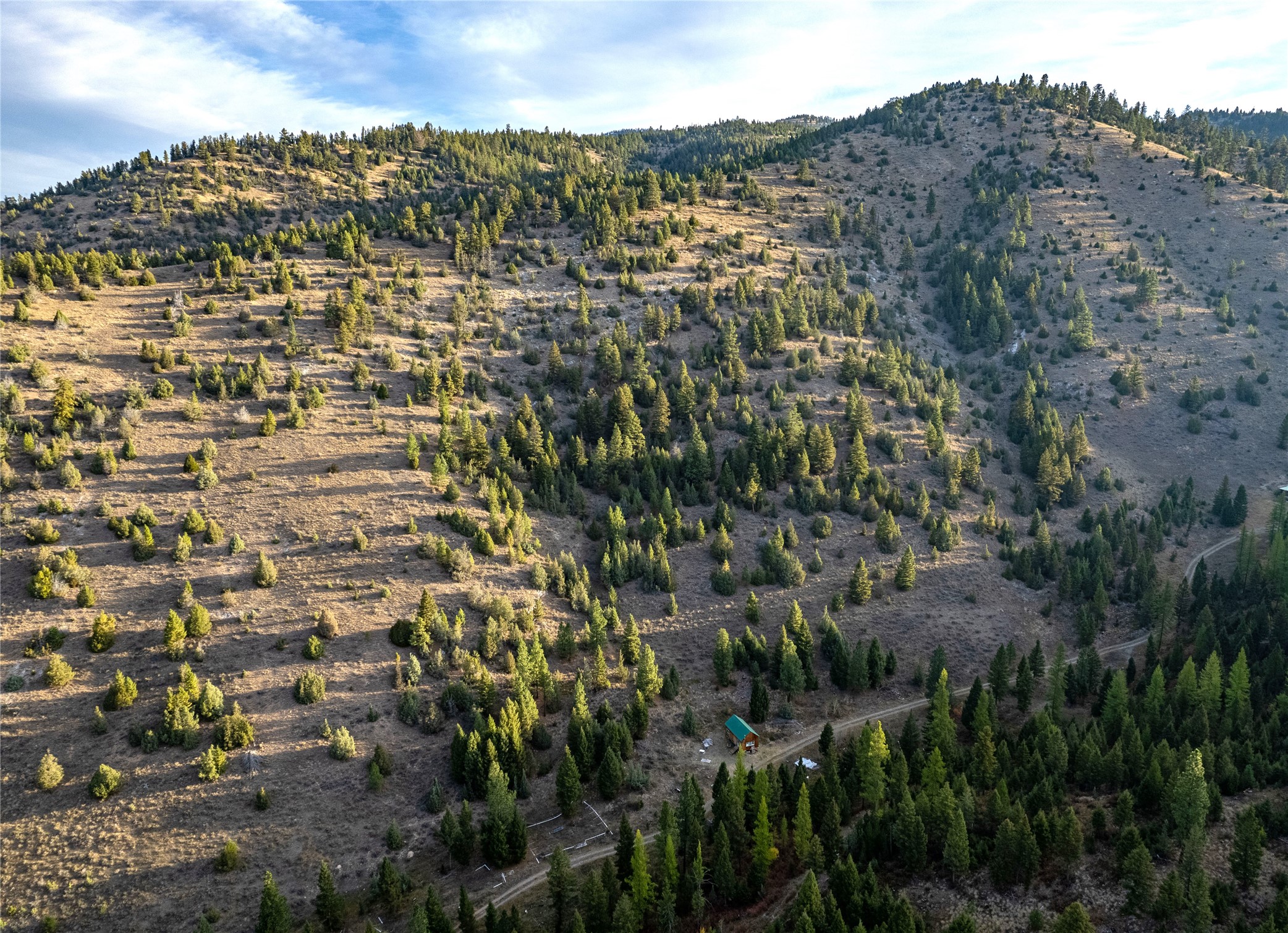 Drummond, Montana 59832, United States, ,Land,Pending,62434