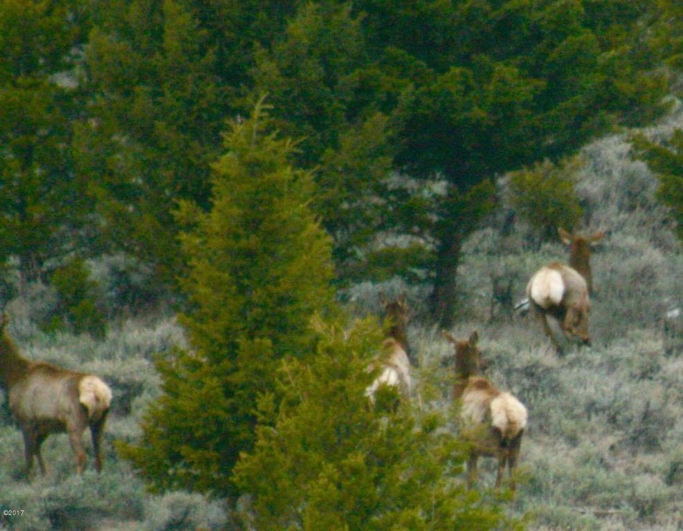 Drummond, Montana 59832, United States, ,Land,Pending,62434