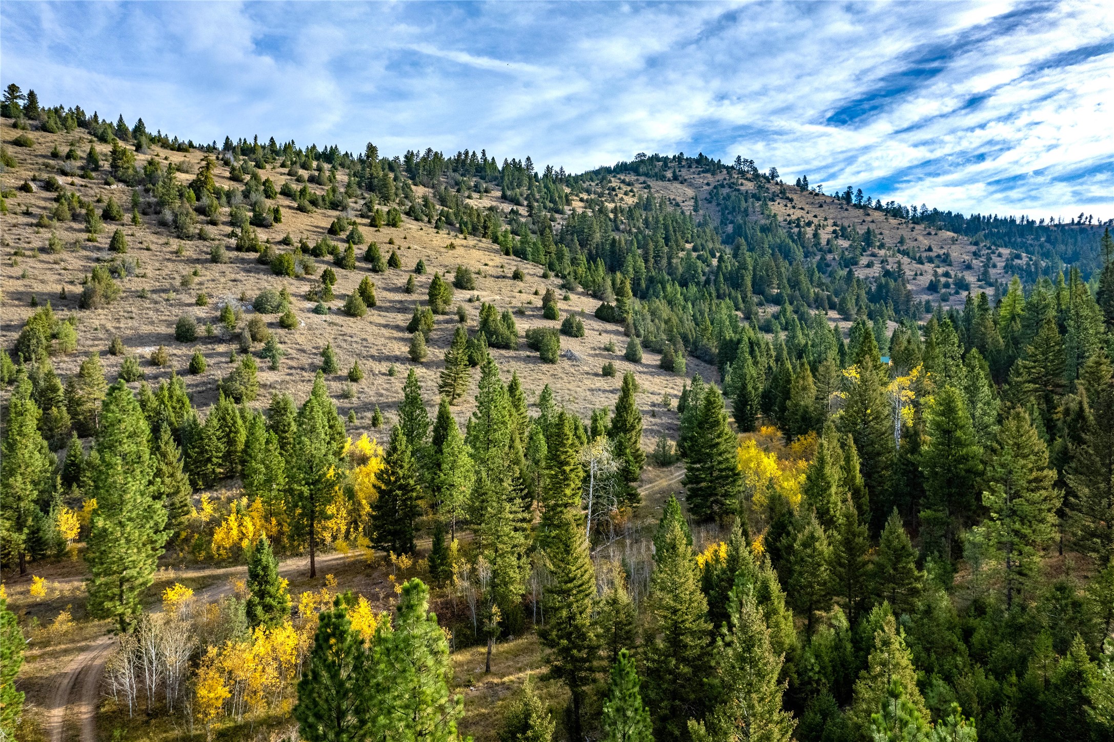 Drummond, Montana 59832, United States, ,Land,Pending,62434