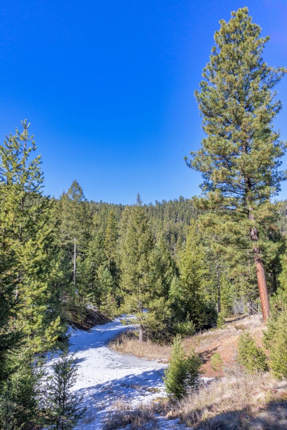 Drummond, Montana 59832, United States, ,Land,Pending,62434