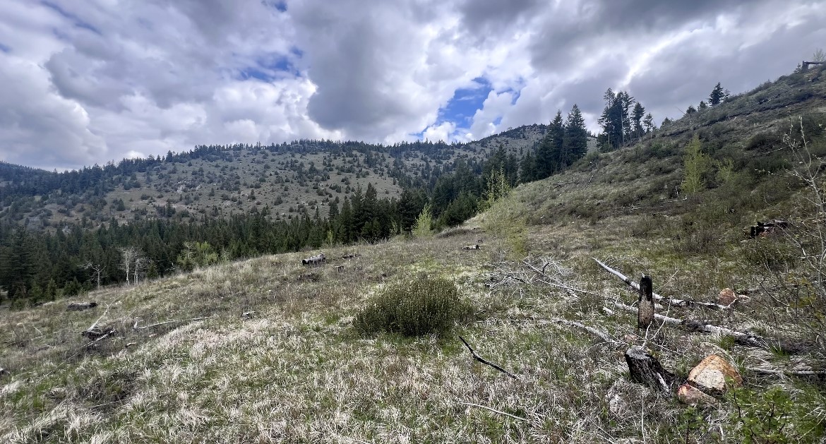 Drummond, Montana 59832, United States, ,Land,Pending,62434