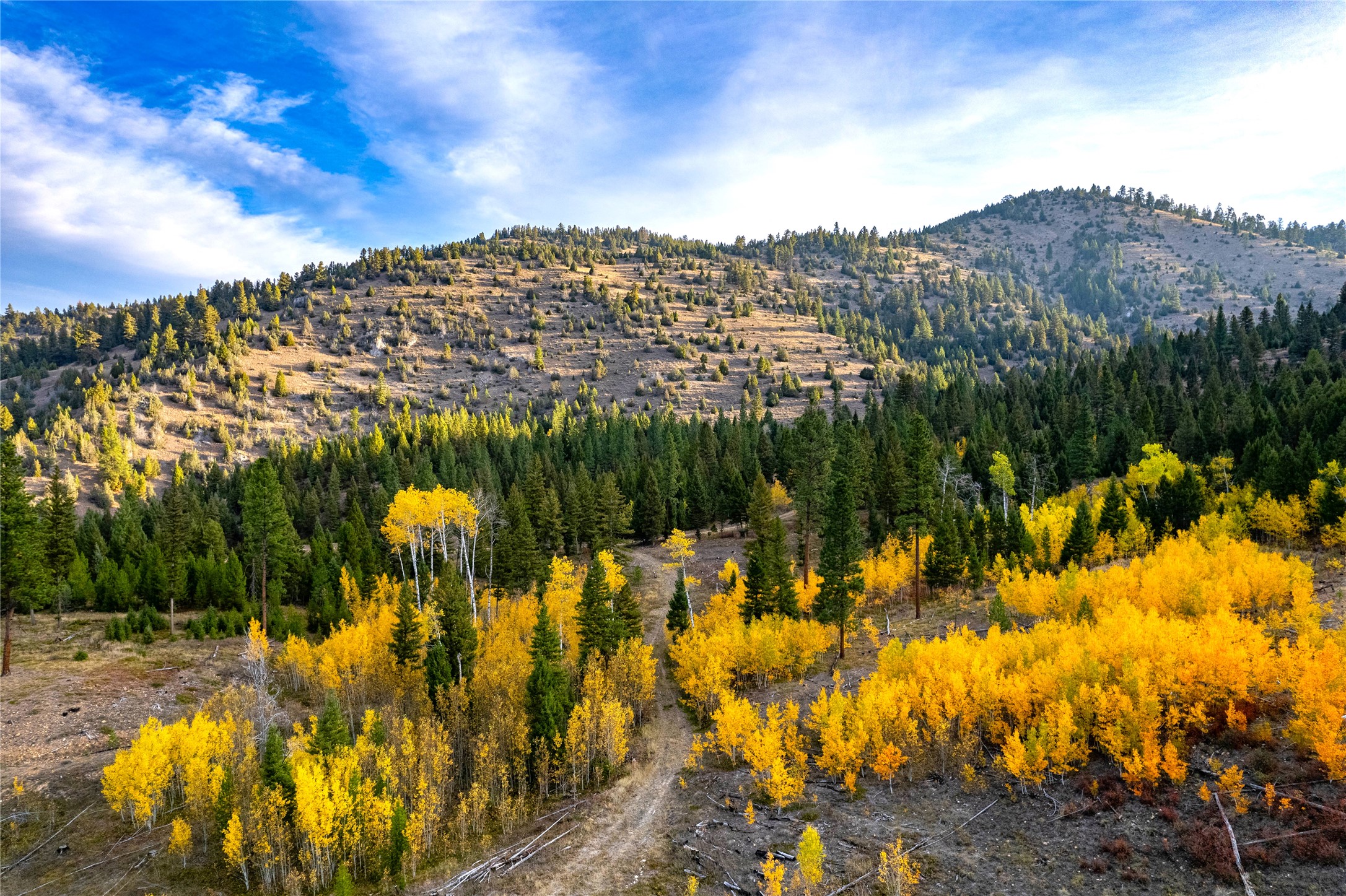 Drummond, Montana 59832, United States, ,Land,Pending,62434