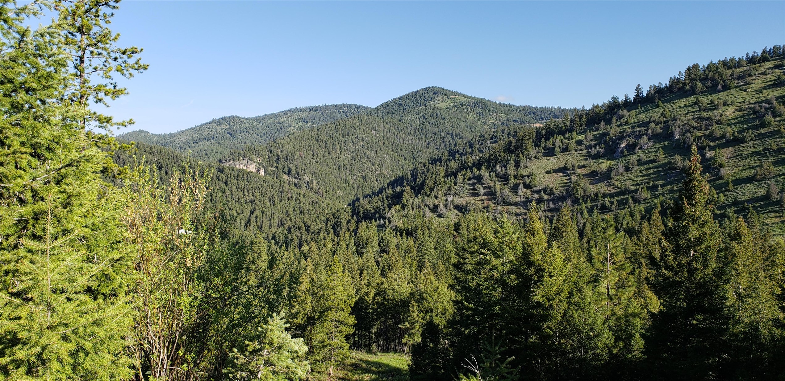 Drummond, Montana 59832, United States, ,Land,Pending,62434