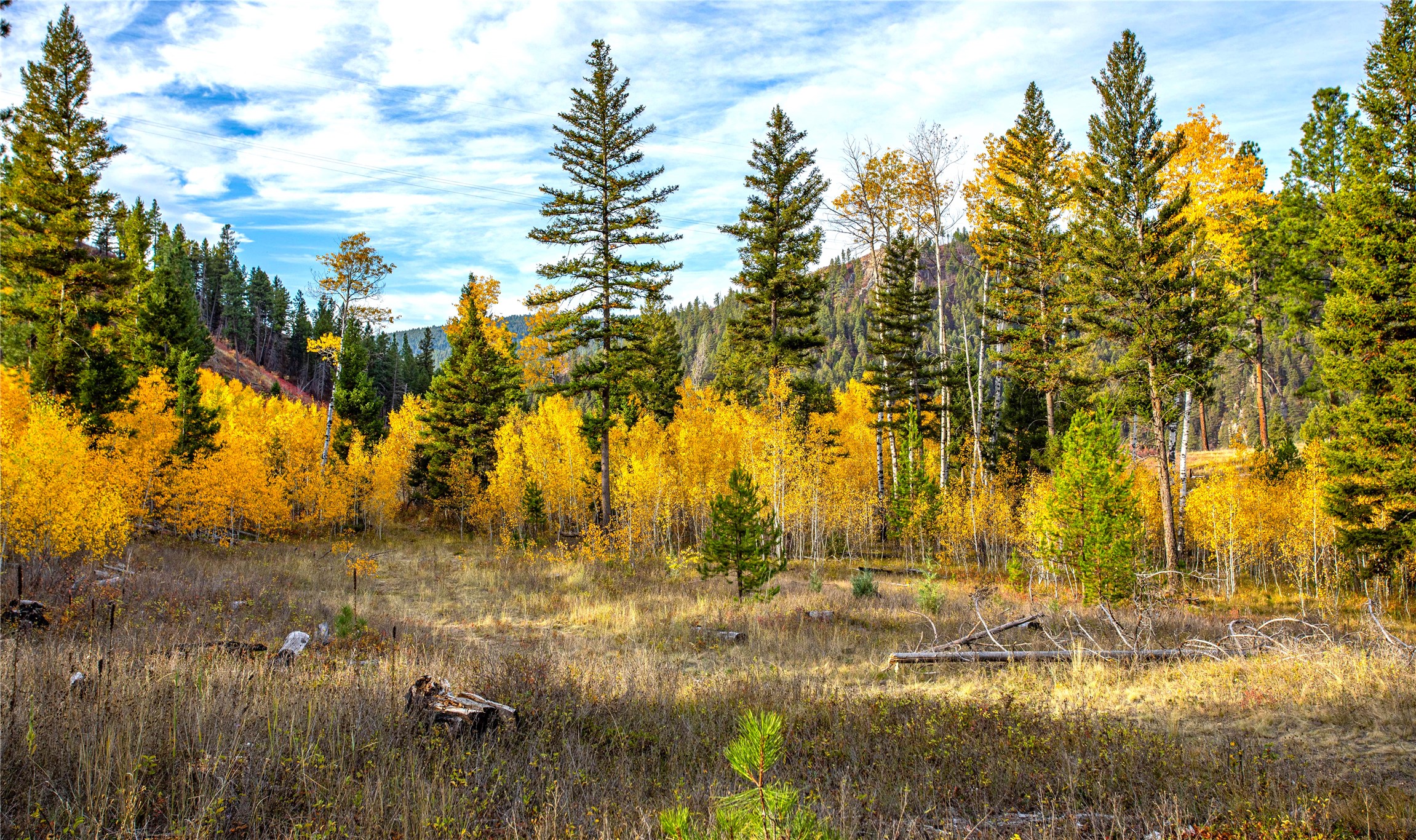 Drummond, Montana 59832, United States, ,Land,Pending,62434