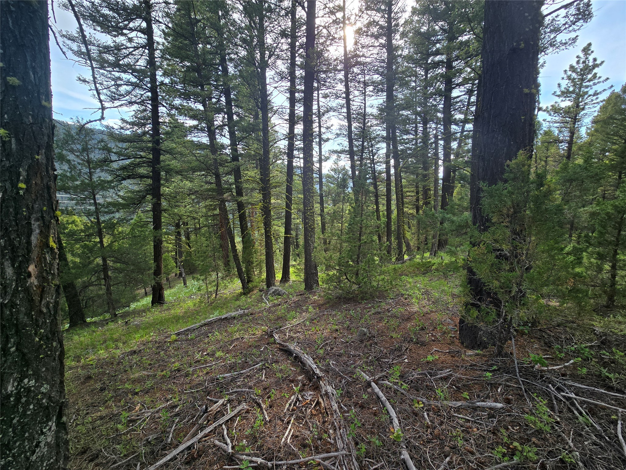 # Johnson Quarta Lode