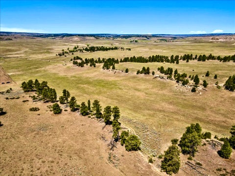 Tiny photo for 0 Miller Butte, Park City, MT 59063 (MLS # 30074046)