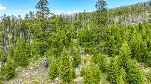 Tiny photo for 357 Ontario Drive, Elliston, MT 59728 (MLS # 30069519)