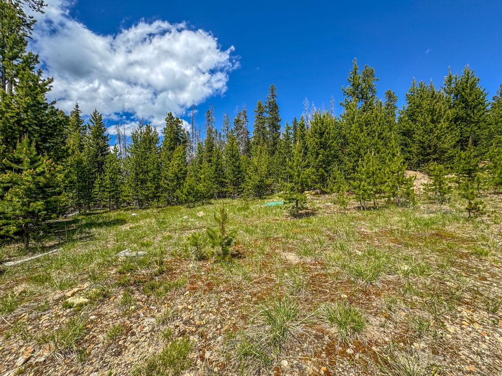 Photo of 357 Ontario Drive, Elliston, MT 59728 (MLS # 30069519)