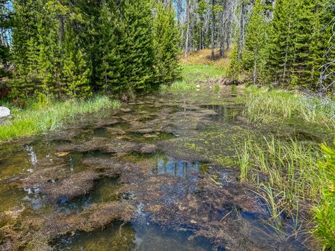 Tiny photo for 357 Ontario Drive, Elliston, MT 59728 (MLS # 30069519)