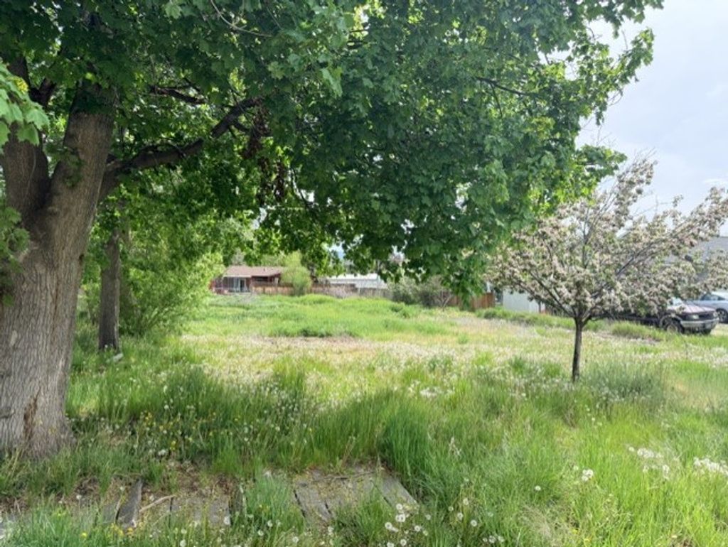 Photo of 240 Daly Avenue, Hamilton, MT 59840 (MLS # 30070567)
