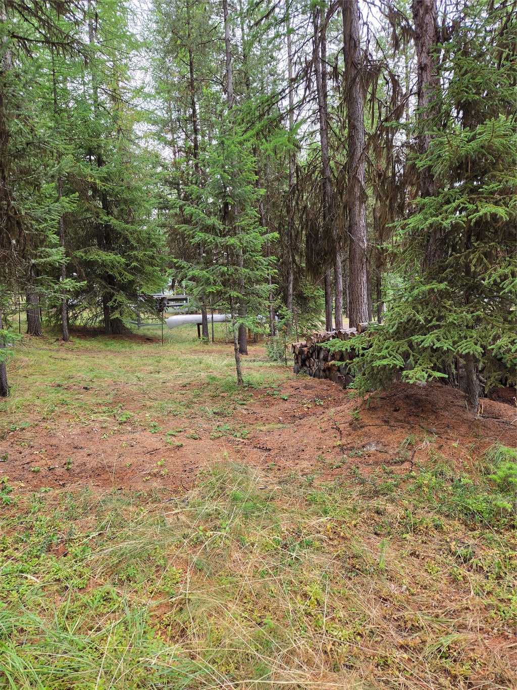 Photo of 1256 Bitterroot Lane, Marion, MT 59925 (MLS # 30076884)