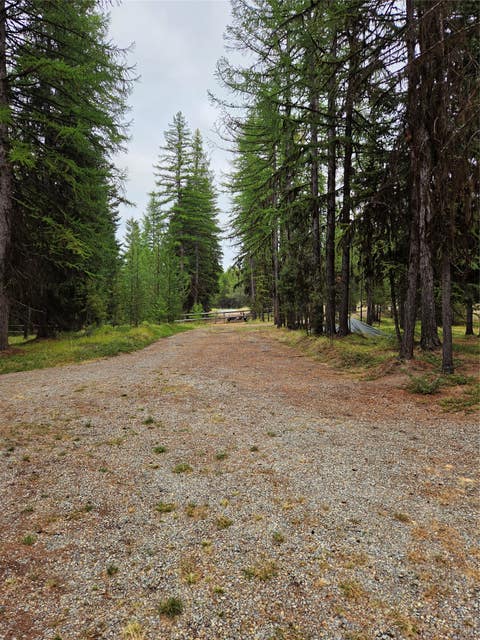 Tiny photo for 1256 Bitterroot Lane, Marion, MT 59925 (MLS # 30076884)