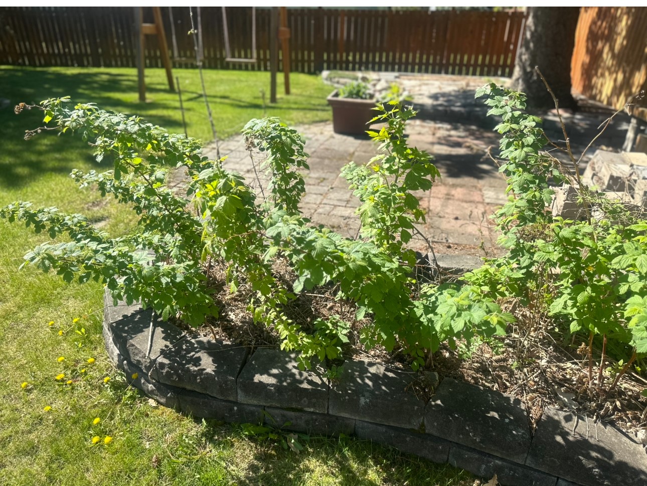 Lolo, Montana 59847, United States, 5 Bedrooms Bedrooms, ,2 BathroomsBathrooms,Residential,Pending,125199