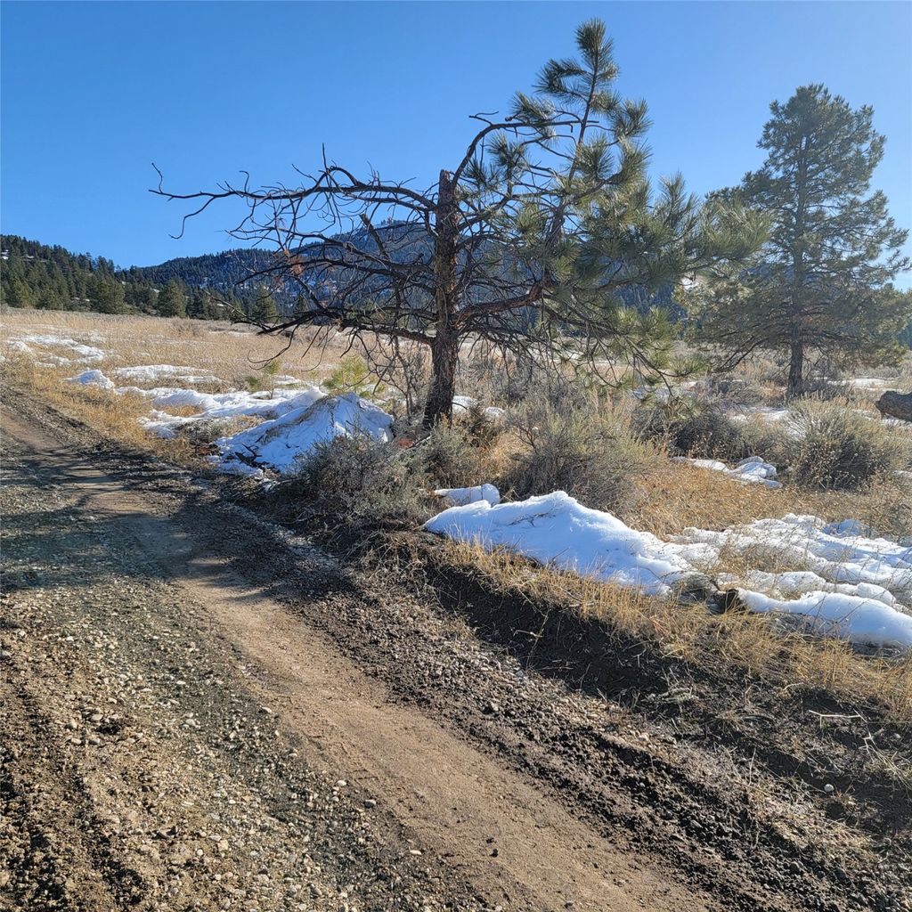 Photo of Lot A Sapphire Ranch Trail, Corvallis, MT 59828 (MLS # 30044119)