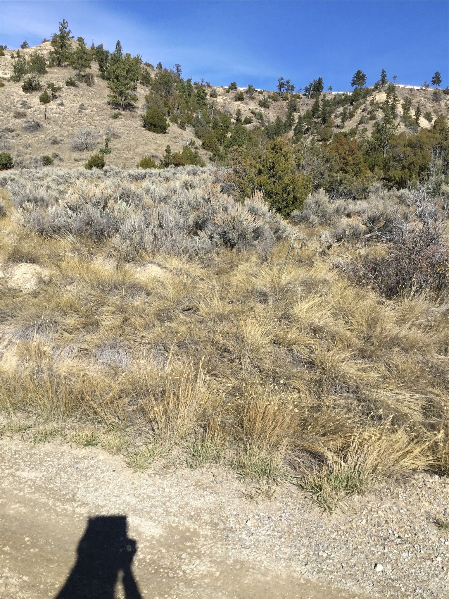 Unknown Hwy 12 E