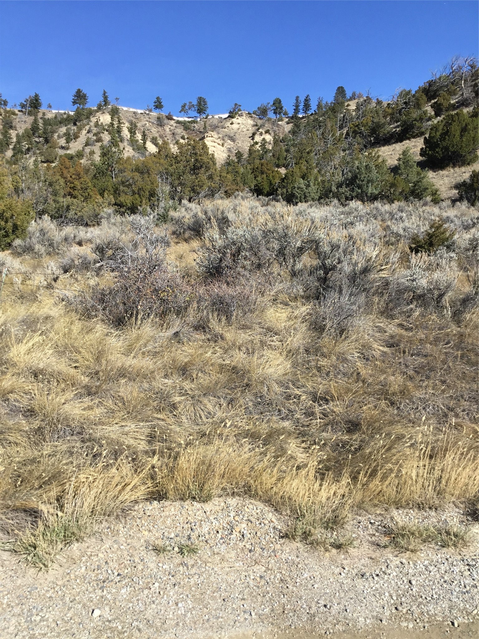 Unknown Hwy 12 E