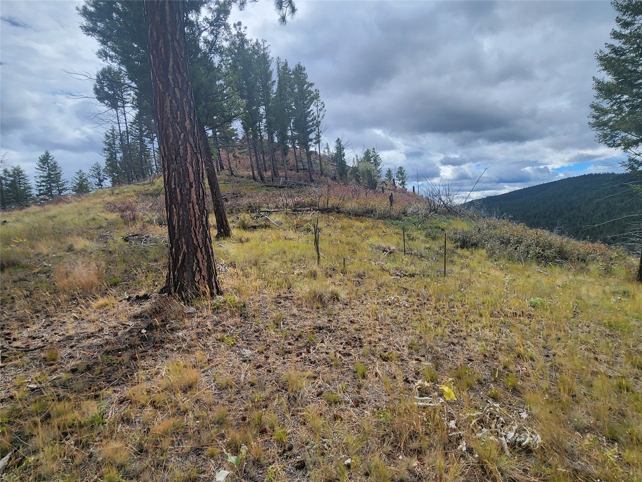 250 Felan Gulch Road