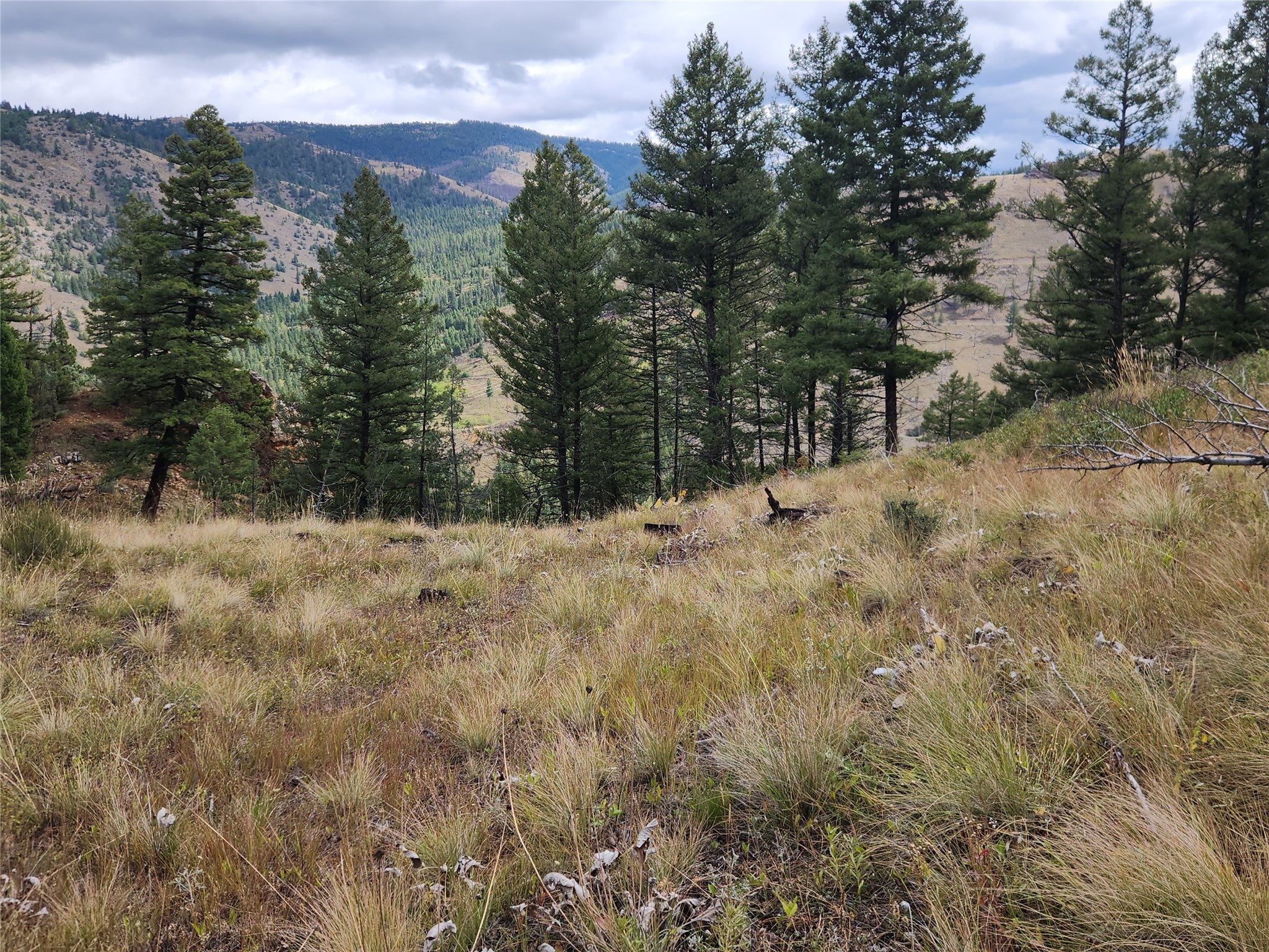 250 Felan Gulch Road
