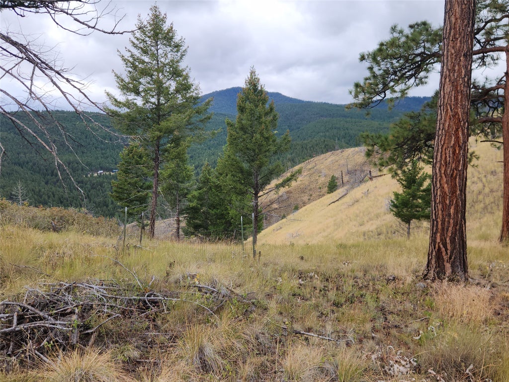 Photo of 250 Felan Gulch Road, Drummond, MT 59832 (MLS # 30078352)