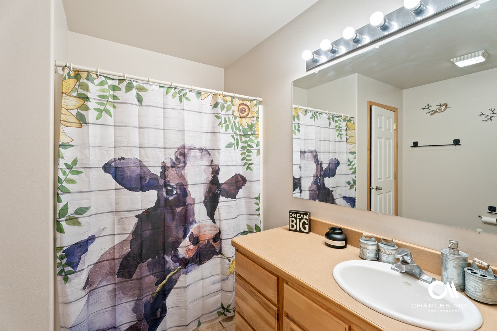 Helena, Montana 59602, United States, 5 Bedrooms Bedrooms, ,3 BathroomsBathrooms,Residential,Active,186862