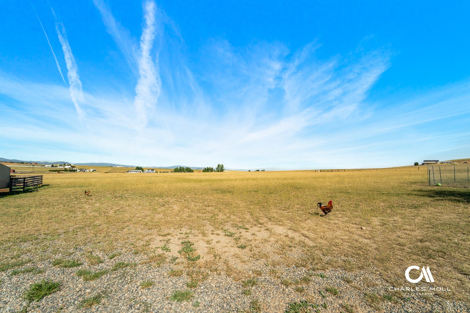 Helena, Montana 59602, United States, 5 Bedrooms Bedrooms, ,3 BathroomsBathrooms,Residential,Active,186862