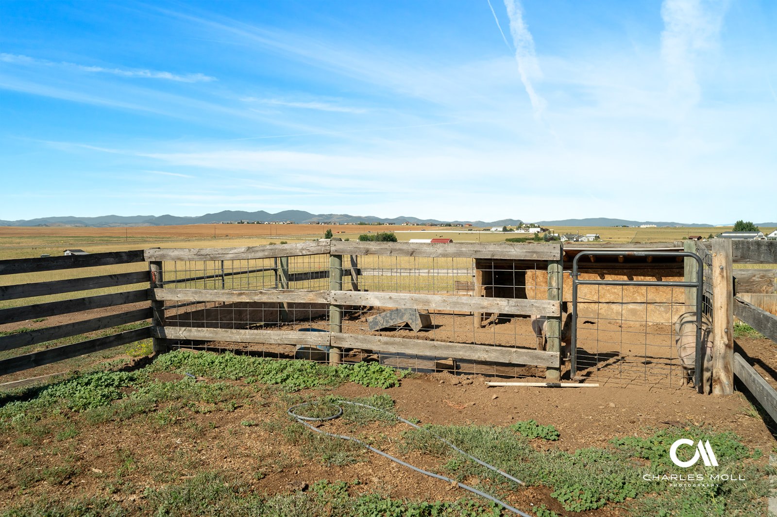 Helena, Montana 59602, United States, 5 Bedrooms Bedrooms, ,3 BathroomsBathrooms,Residential,Active,186862