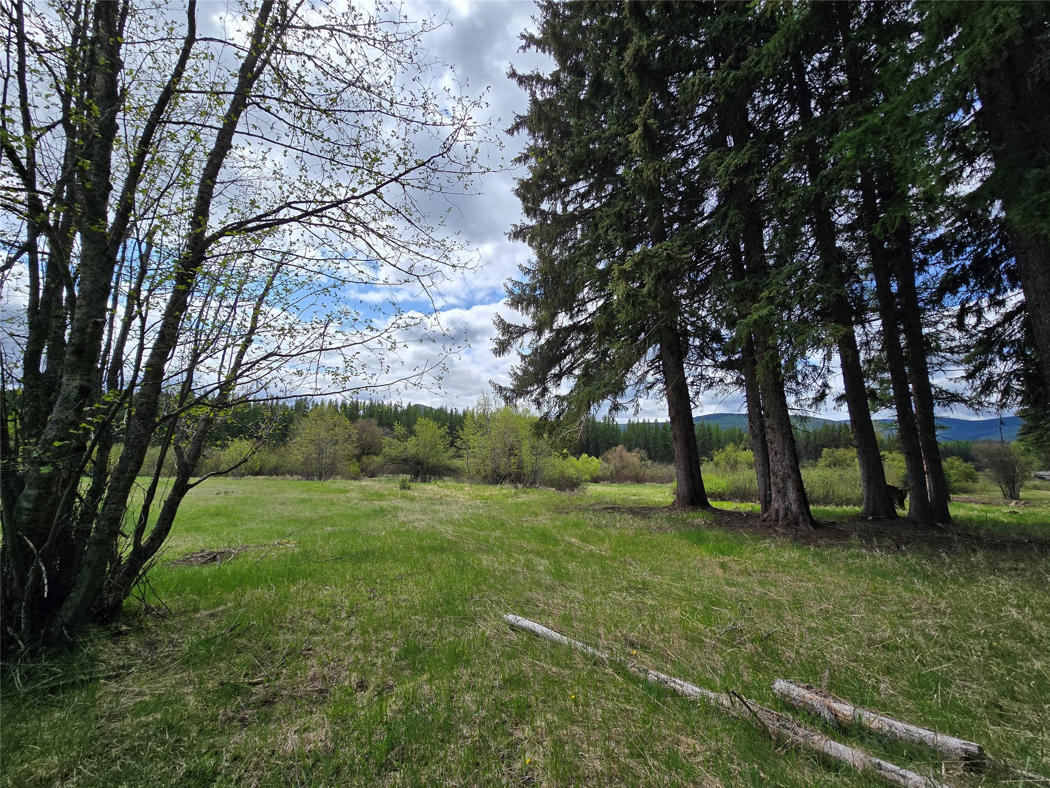 RAW LAND (TBD) Yaak River Road