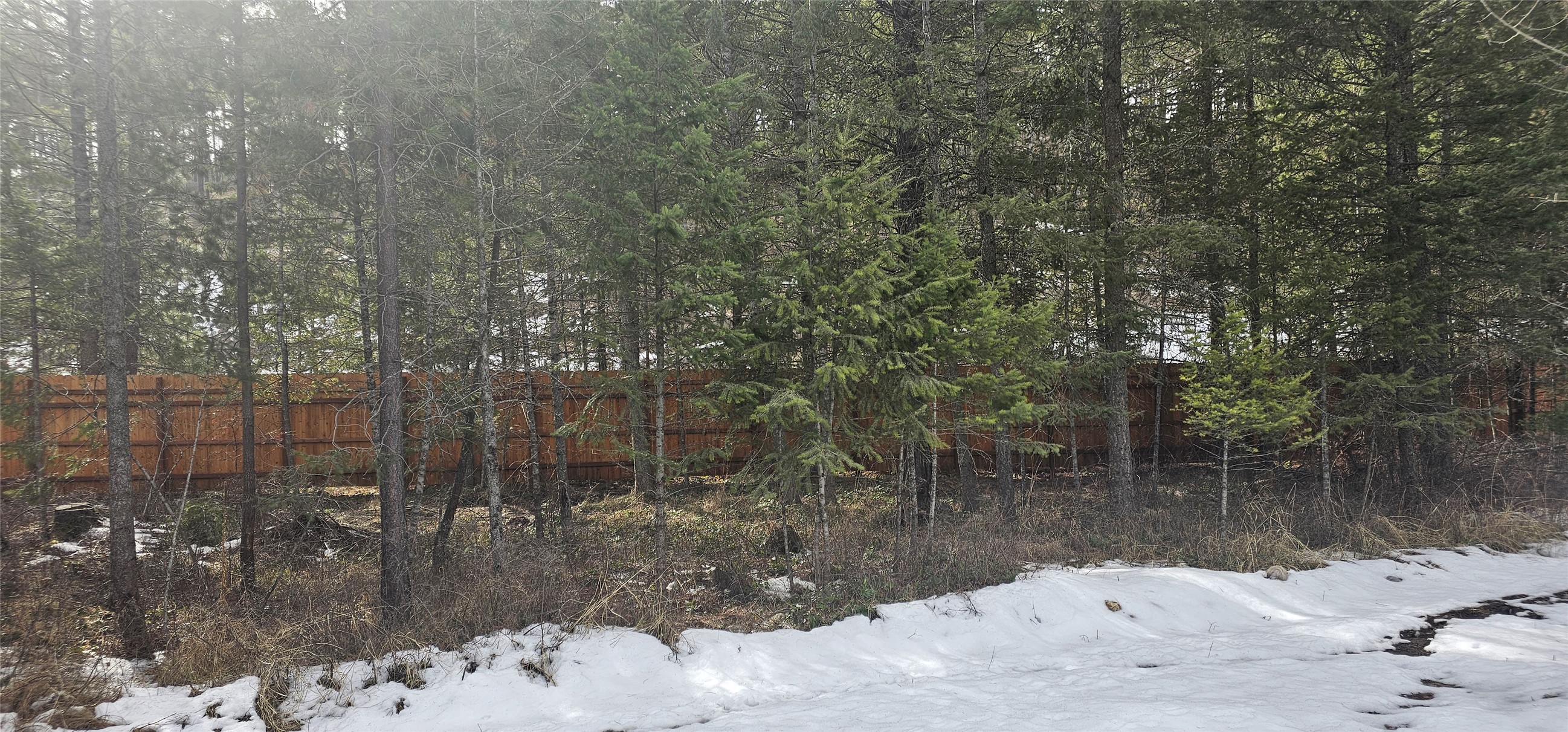 Bigfork, Montana 59911, United States, 4 Bedrooms Bedrooms, ,3 BathroomsBathrooms,Residential,Active,81807